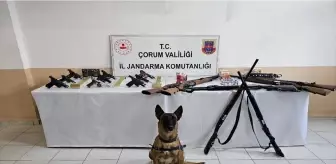 Çorum'da düğünlerde havaya ateş ettikleri belirlenen 11 kişi yakalandı