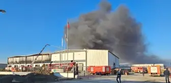 Denizli'de fabrika deposunda çıkan yangın söndürüldü