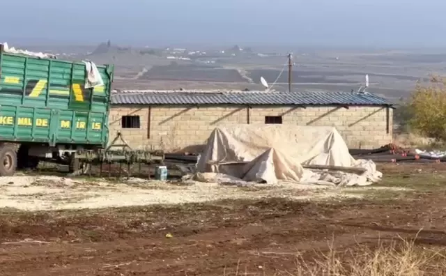 Ahır görünümlü tesis! İçeri giren ekipler gördükleri manzaraya inanamadı