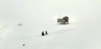 Düzce'nin 1830 rakımlı Kardüz Yaylası'na kar yağdı