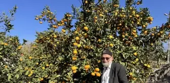 'Elmacı Dede' Hatay'dan aldığı mandalinaları Mehmetçiğe ulaştıracak