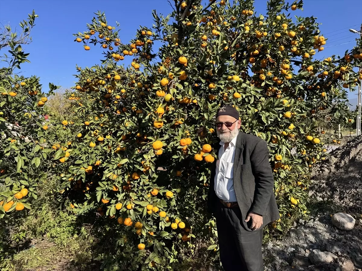 'Elmacı Dede' Hatay'dan aldığı mandalinaları Mehmetçiğe ulaştıracak