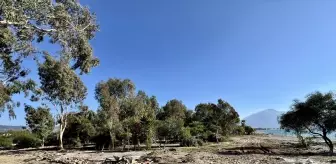 Fethiye sahilinde imara aykırı yapıların yıkımı sürüyor