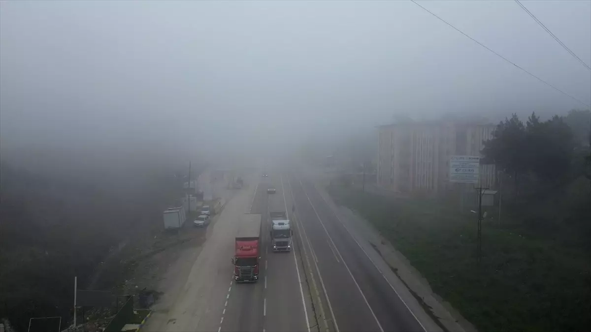 Hatay'da sis etkili oldu