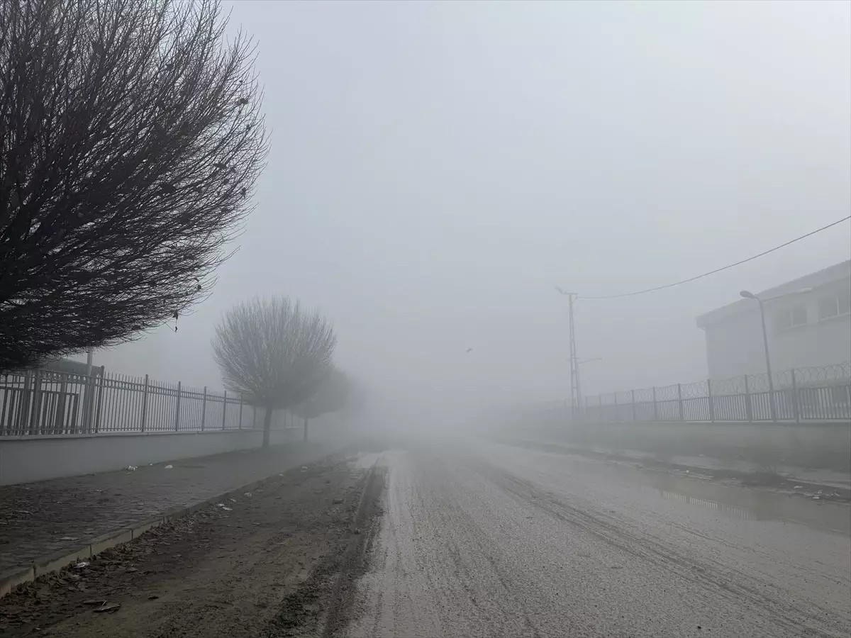 Iğdır'da sis, Kars ve Ardahan'da soğuk hava etkili oluyor