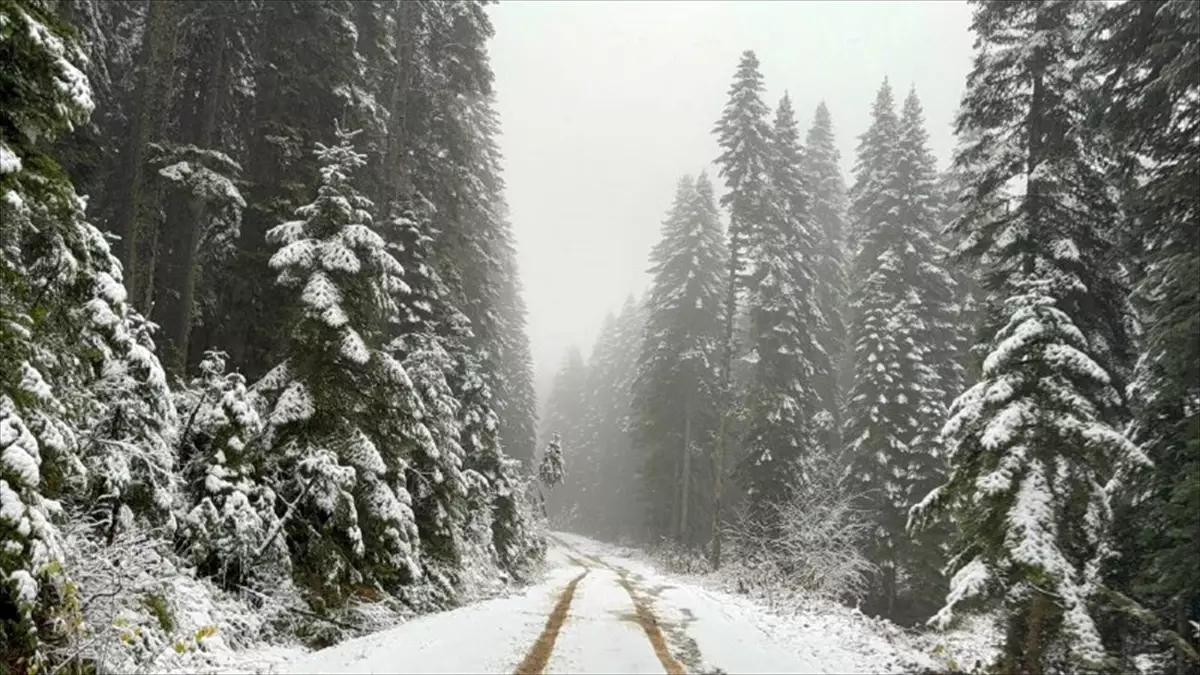 Karabük'ün yüksek kesimleri beyaza büründü