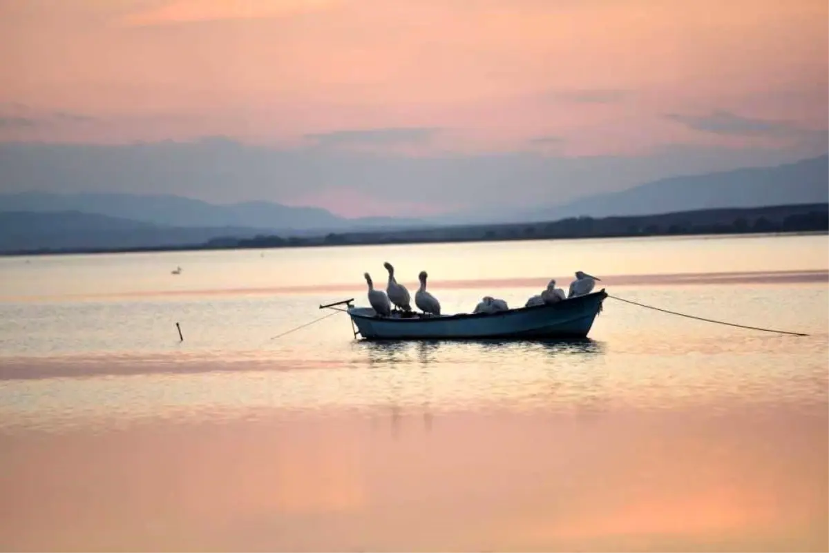 Karacabey'de çeltik ekimi yasaklandı