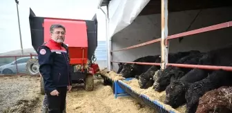 Kırmızı et üretimini artıracak Kırsalda Bereket, Hayvancılığa Destek Projesi meyvelerini vermeye başladı