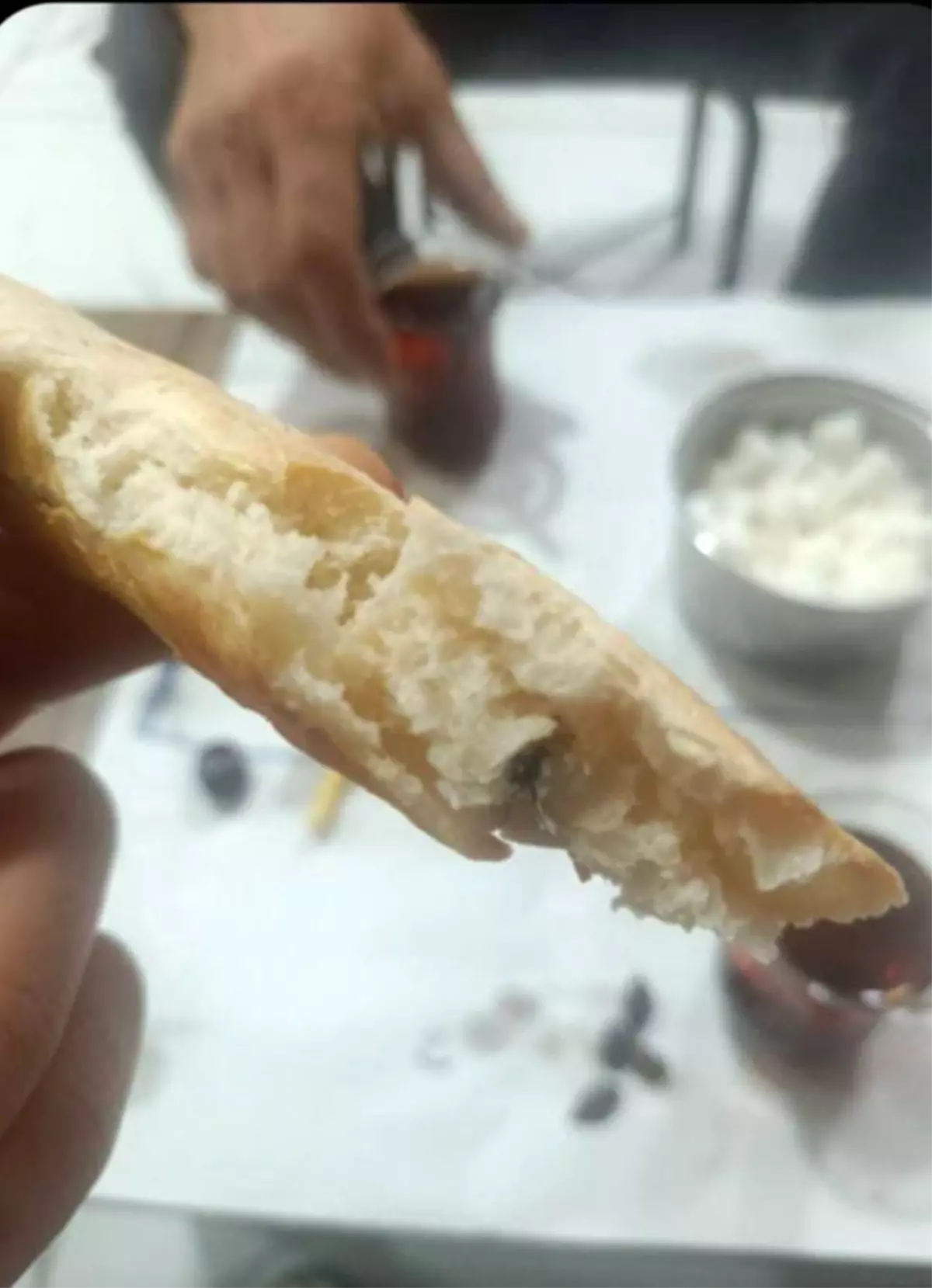 Kurtalan'da ekmeğin içinden sinek çıktı