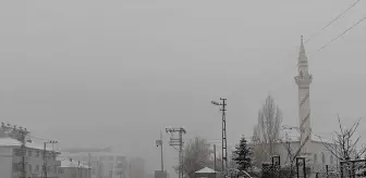 Muş'un Varto ilçesinde kar etkili oldu