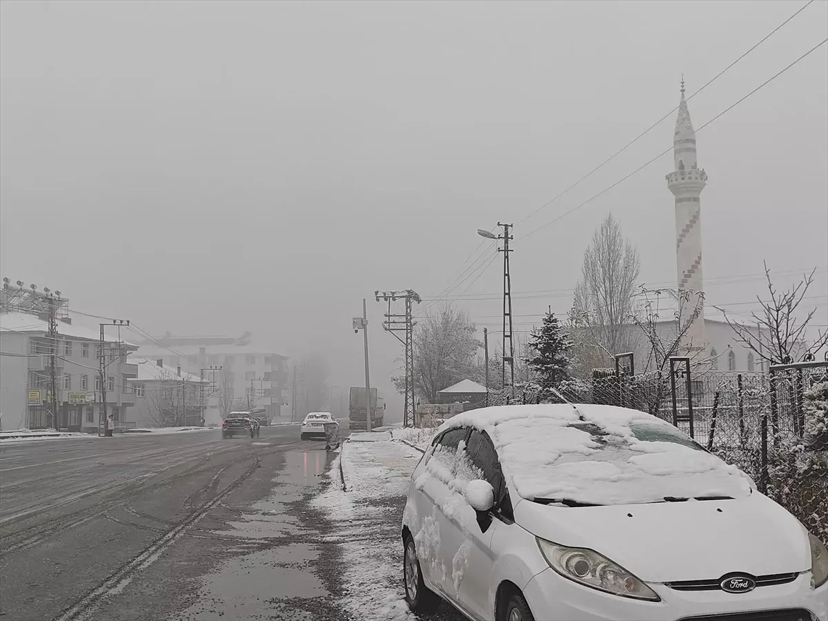 Muş'un Varto ilçesinde kar etkili oldu