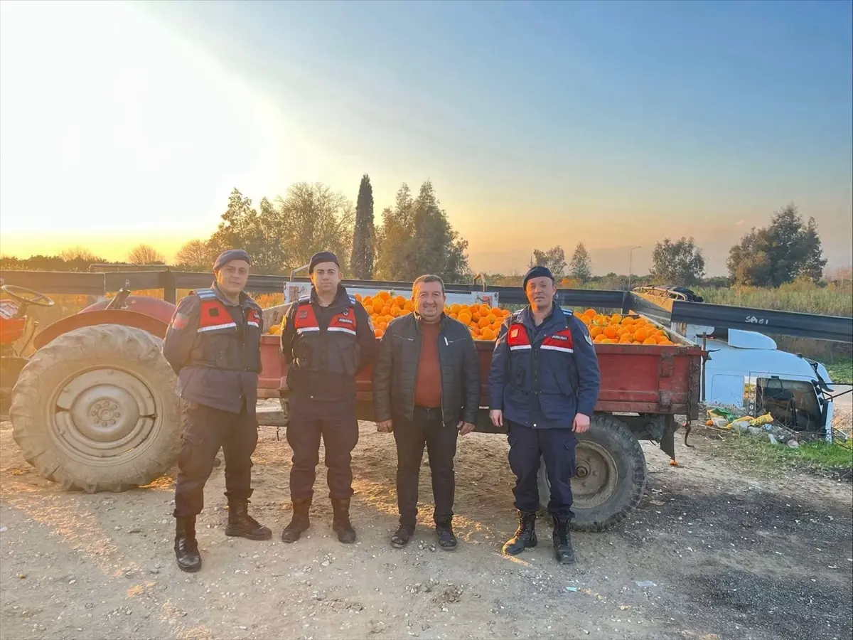 Nazilli'de 1,5 ton portakal çaldıkları öne sürülen 2 zanlı yakalandı