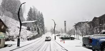 Rize ve Artvin'de kar etkili oldu