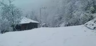 Salıpazarı ilçesi beyaz örtüyle kaplandı