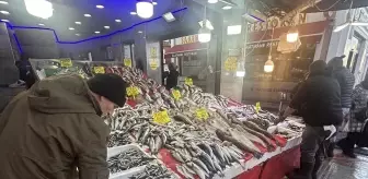 Samsun'da hamsinin kilogramı 150 liradan satılıyor