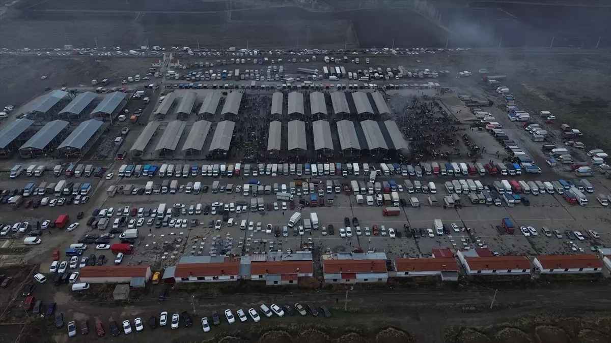 Şap hastalığı tedbirleri kapsamında geçici kapatılan Şarkışla Canlı Hayvan Pazarı yeniden açıldı