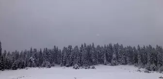 Sinop'un yüksek kesimleri beyaza büründü