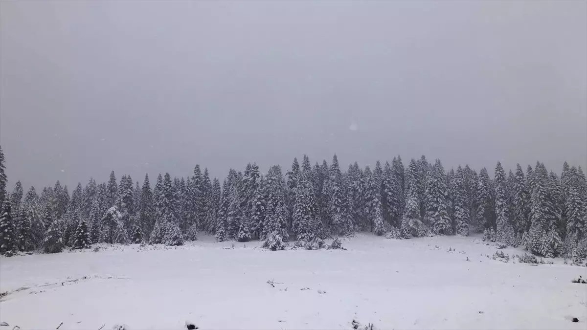 Sinop'un yüksek kesimleri beyaza büründü