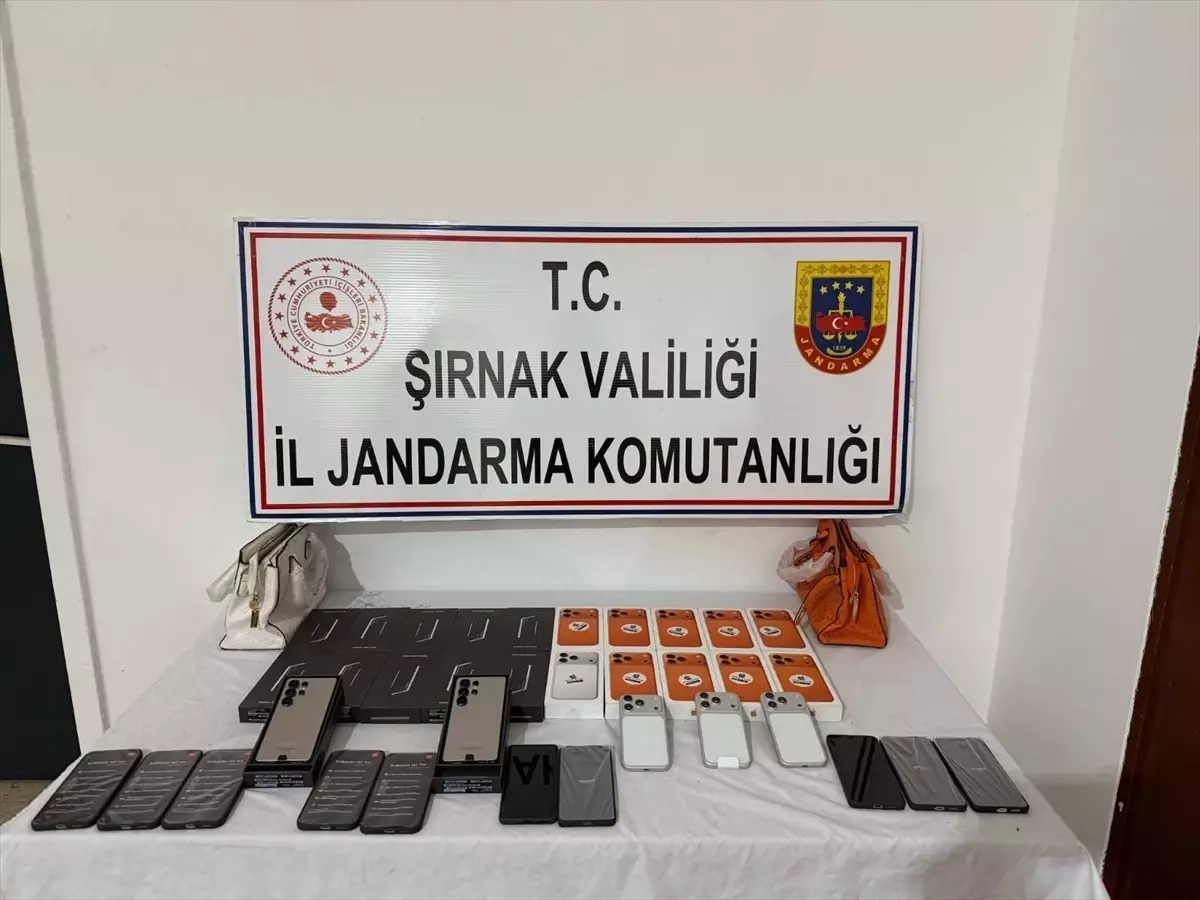 Şırnak'ta kaçakçılık ve asayiş operasyonlarında 69 şüpheli hakkında işlem yapıldı