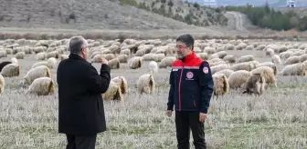 Tiftiğin ekonomiye kazandırılması için destek mekanizmaları geliştirilecek