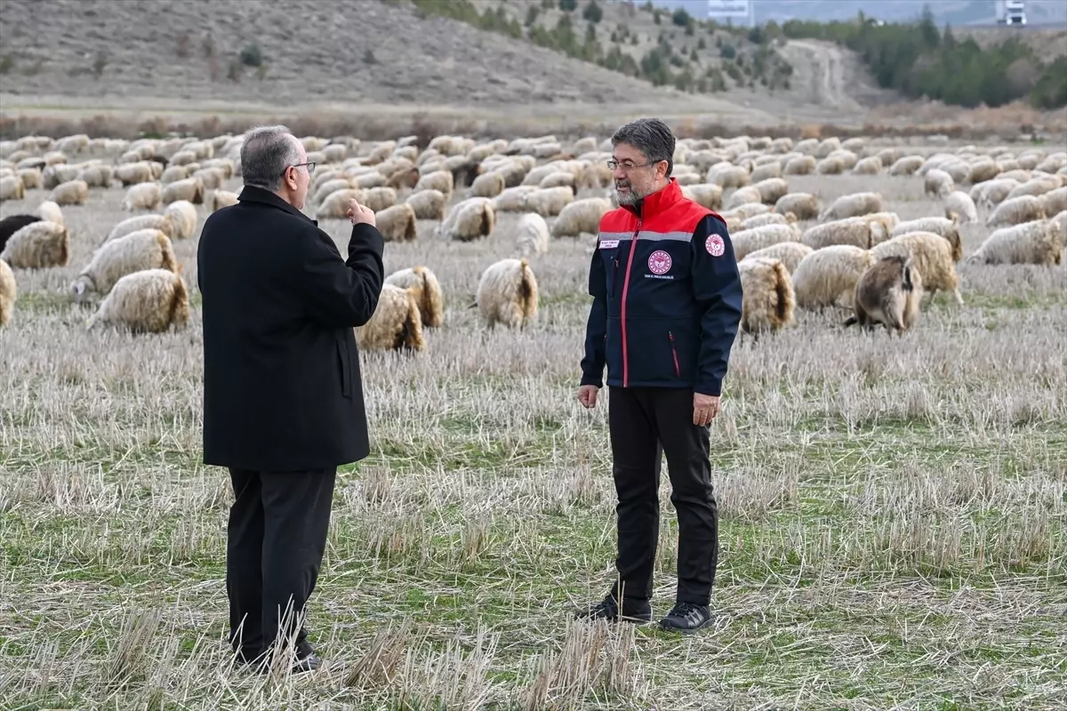 Tiftiğin ekonomiye kazandırılması için destek mekanizmaları geliştirilecek