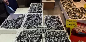 Trabzon'da hamsi ve istavrit 100 liradan satılıyor