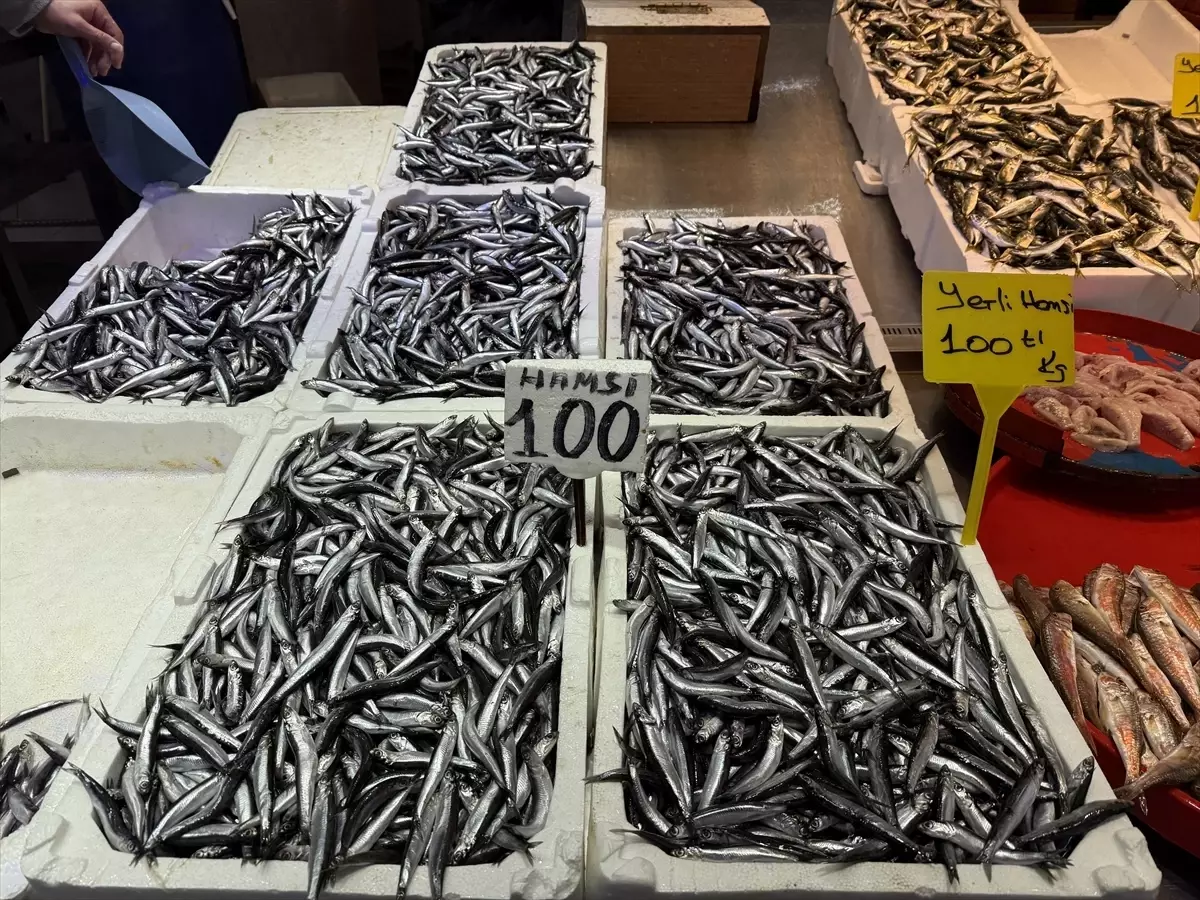 Trabzon'da hamsi ve istavrit 100 liradan satılıyor