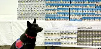 Van'da 8 bin 200 paket gümrük kaçağı sigara ele geçirildi