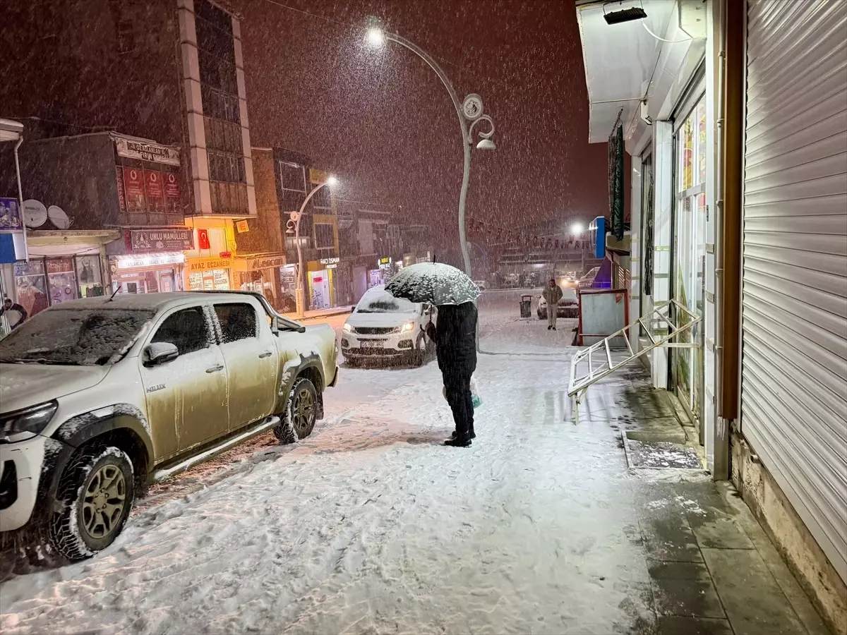 Van'da kar etkili oldu