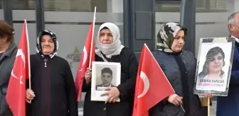 Vanlı aileler, DEM Parti İl Başkanlığı önündeki eylemlerini sürdürdü