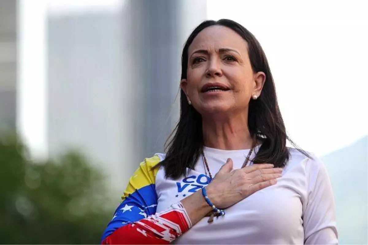 Nobel Kimya Ödülü, metal-organik çerçeveler üzerine çalışan üç bilim insana verildi