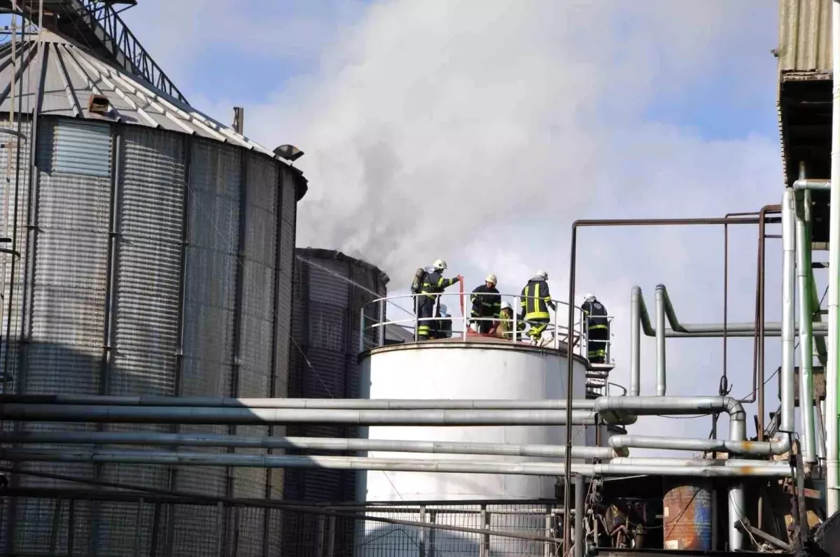 Yağ fabrikasında yangın