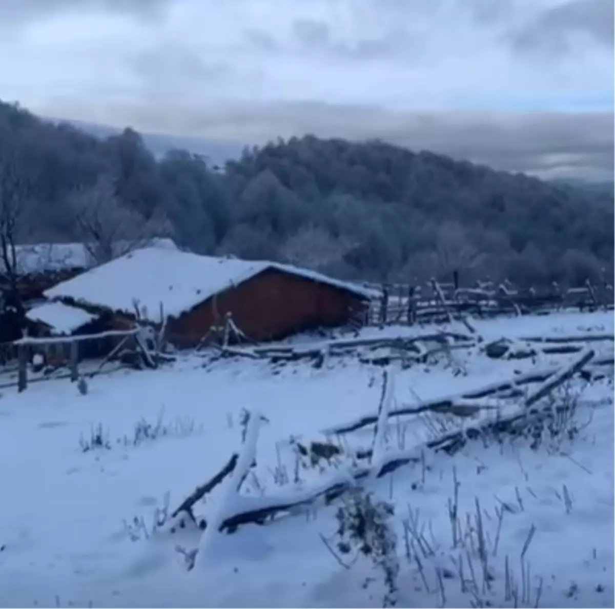 Amasya'nın Taşova ilçesinde kar yağışı etkili oldu