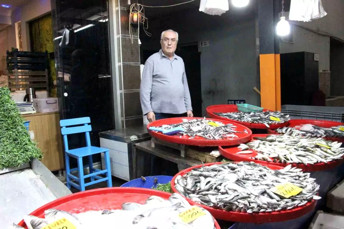 Bozdoğan'da balık tezgahlarının en çok tercih edilen çeşidi hamsi oldu