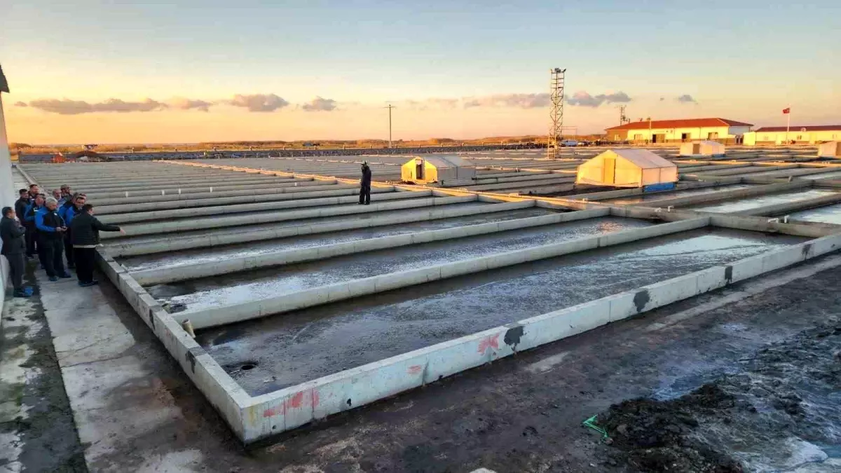 Çanakkale'deki deniz solucanları yetiştiriciliği tesisi sektörde tek