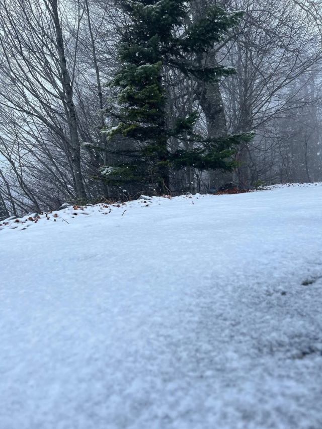 kar istanbul un kapisina dayandi her yer beyaza 19354930 2584 m