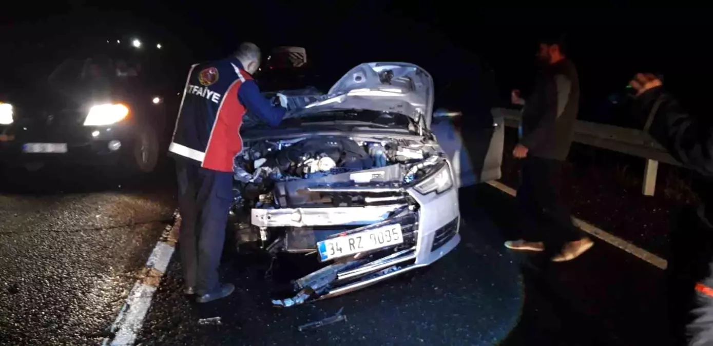 Mardin'de otomobilin çarptığı at telef oldu