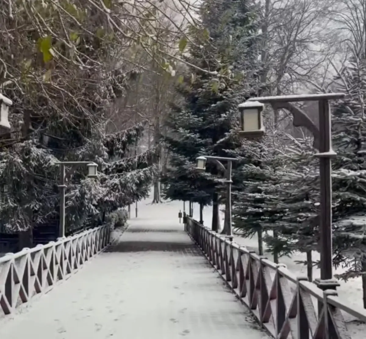 Ordu'nun yüksekleri beyaza büründü