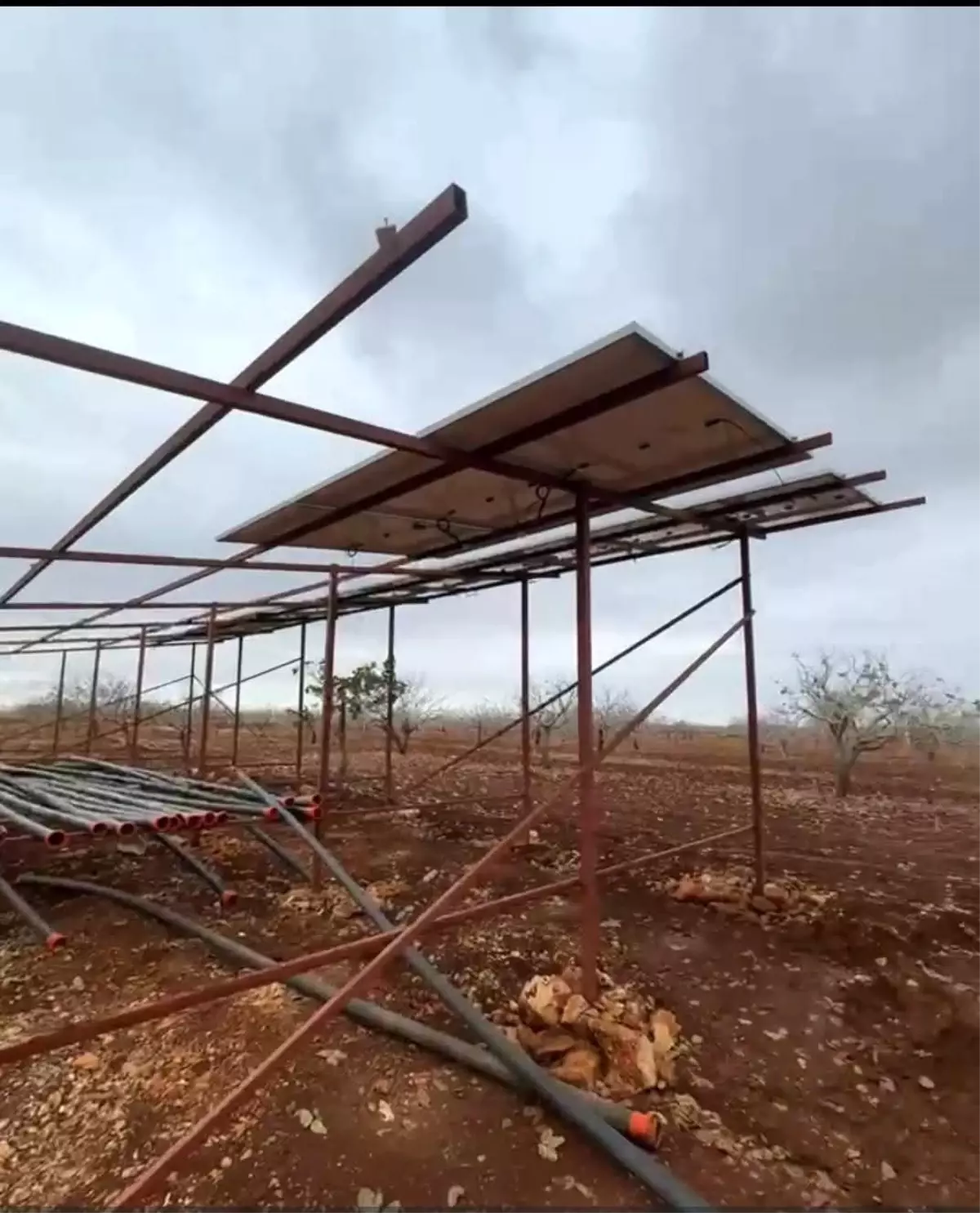 Şanlıurfa'da hırsızlar sisli havada güneş enerjisi panellerine dadandı