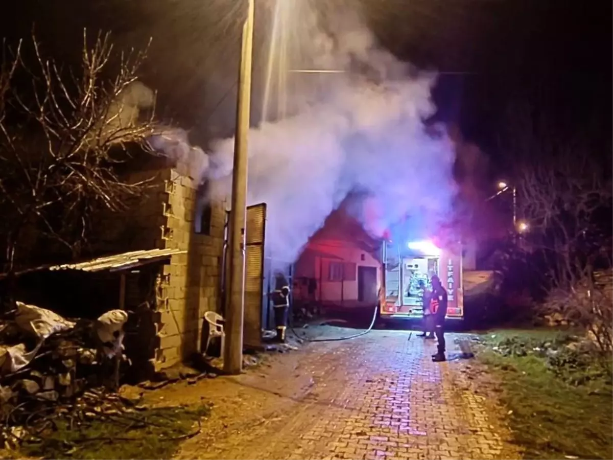 Uşak'ta samanlıkta çıkan yangında 5 koyun telef oldu