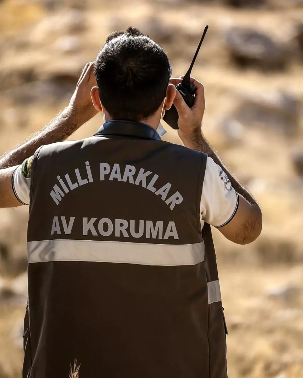 Koruma Altındaki Yaban Keçisini Avlayan Avcıya 953 Bin TL Cezai İşlem Uygulandı