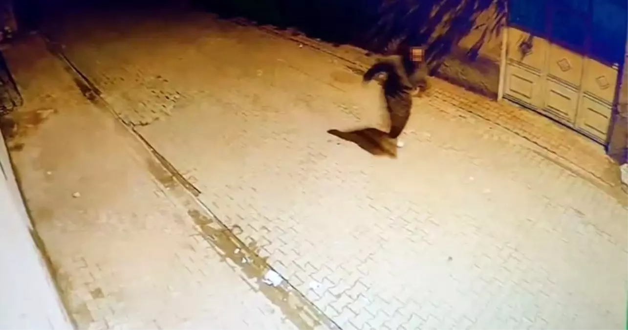 Adana'da evin camlarına taş atıp kaçtı: O anlar kamerada