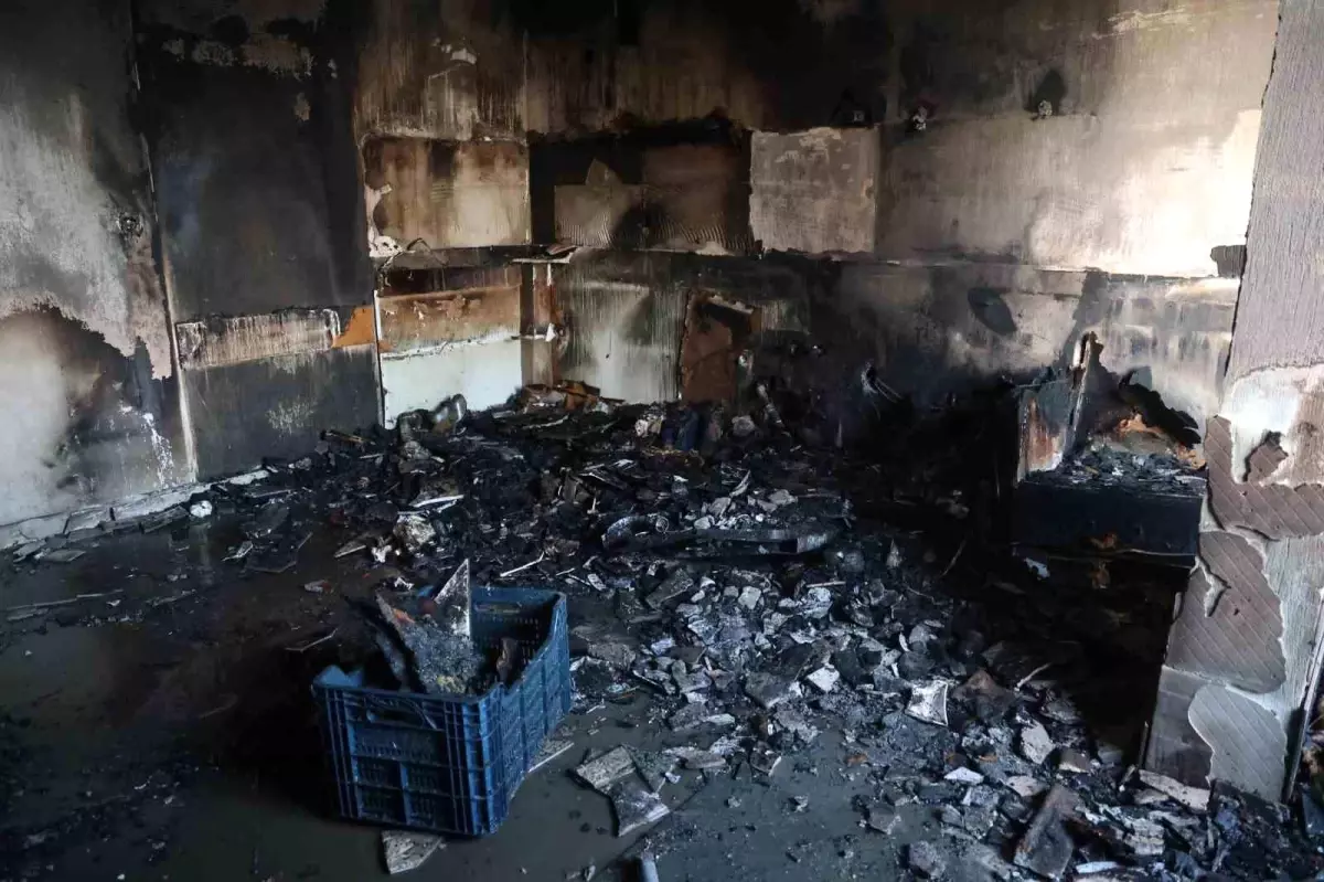 Ailecek gezmeye gitmişlerdi, eve geldiklerinde kullanılacak eşya kalmayan mutfakla karşılaştılar