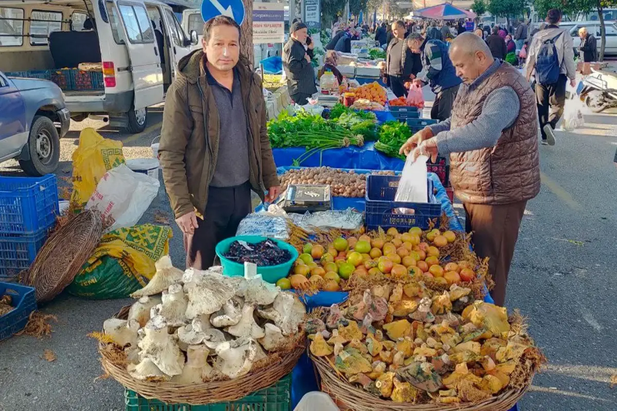 Bin 800 rakımlı yayladan toplayıp getiriyor, gören almadan geçmiyor
