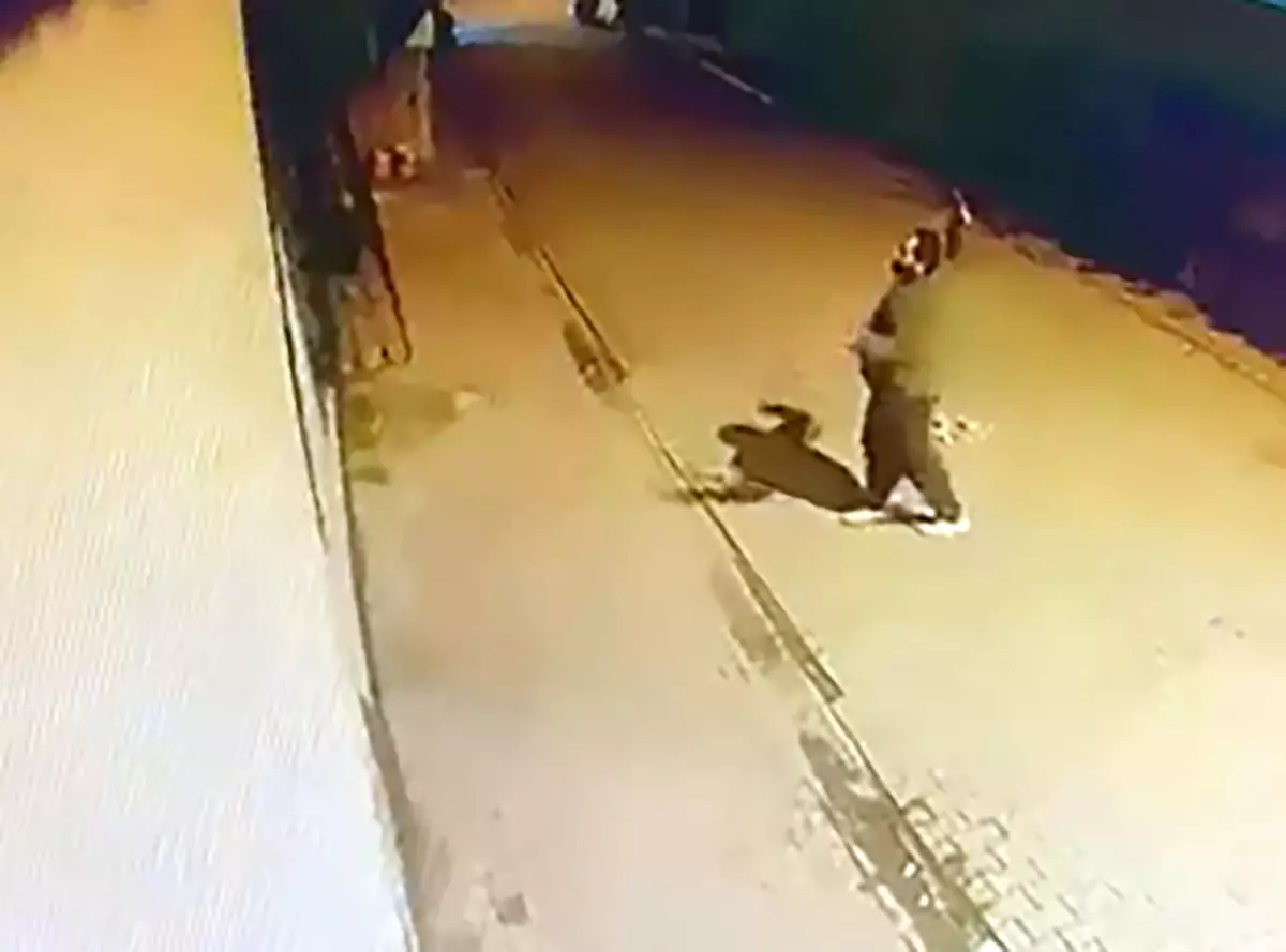 Evin pencerlerine taş atıp, camlarını kırdı