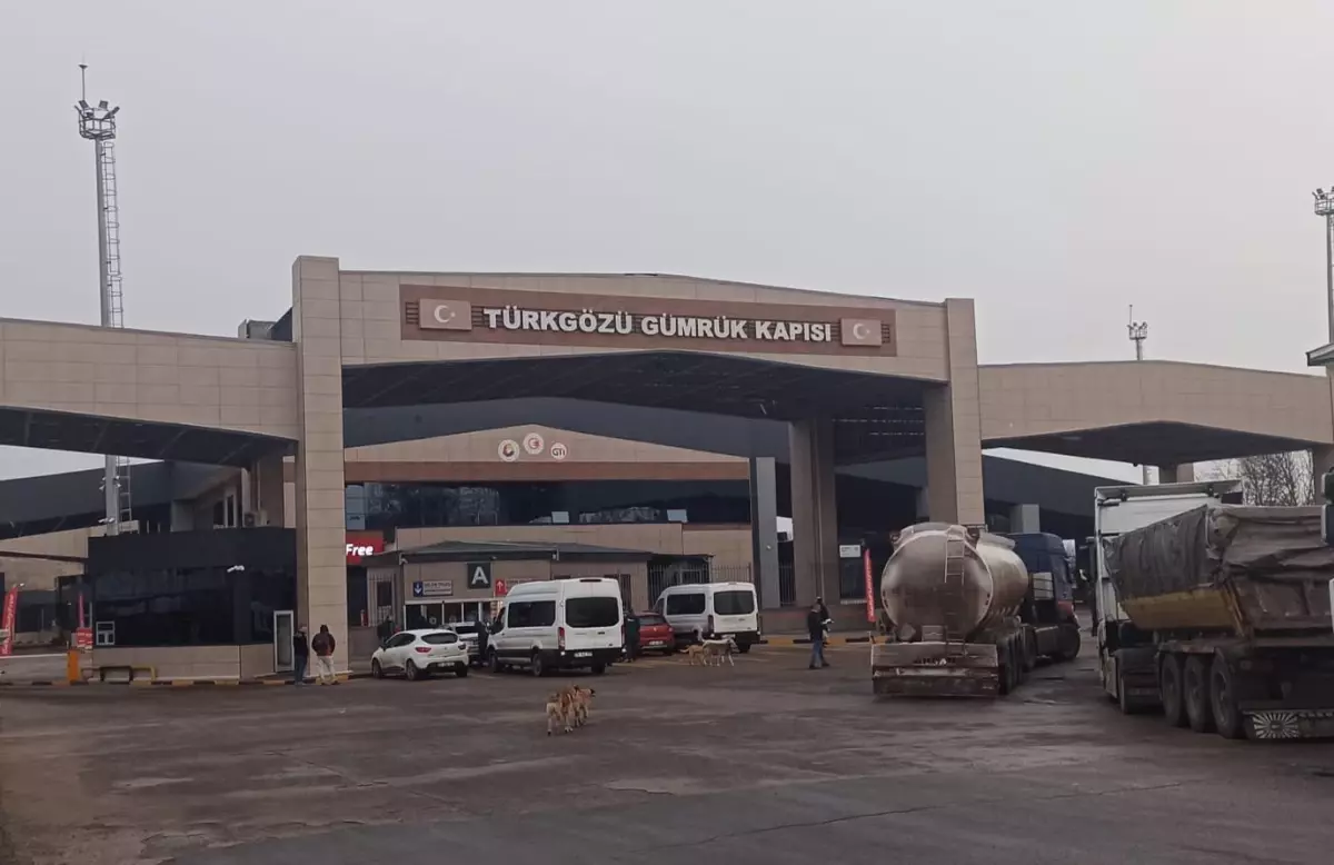 Gürcistan-Türkiye arasında geçişlerde 'zorunlu' sağlık sigortası