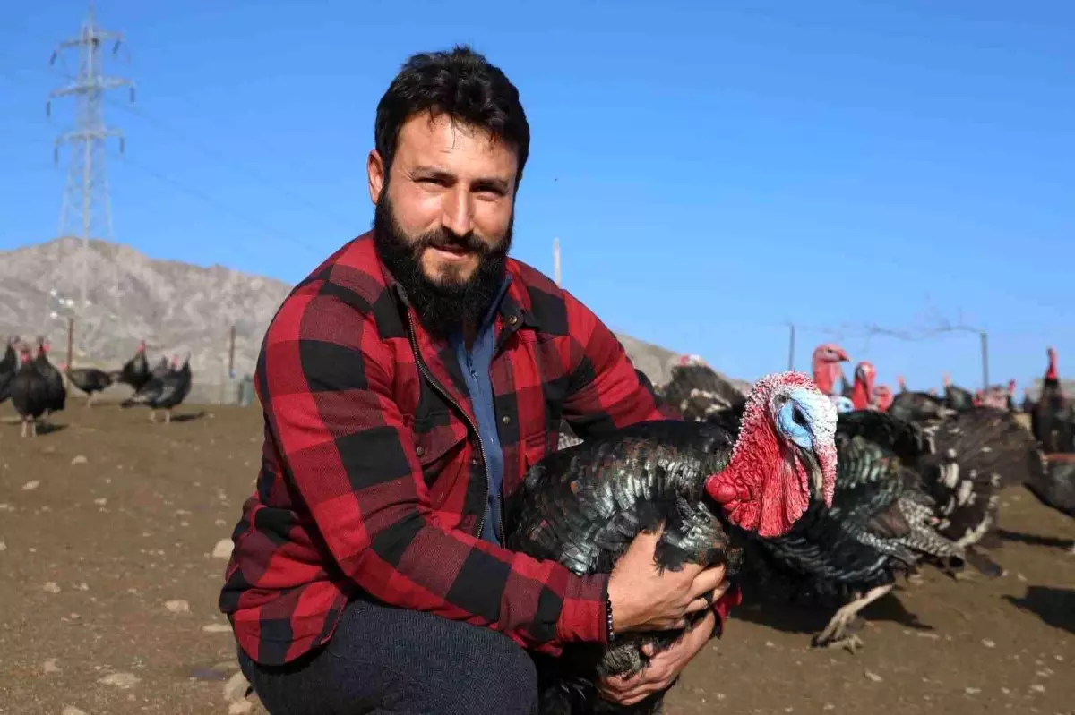 Yurtdışından dönüp, memleketine çiftlik kurdu