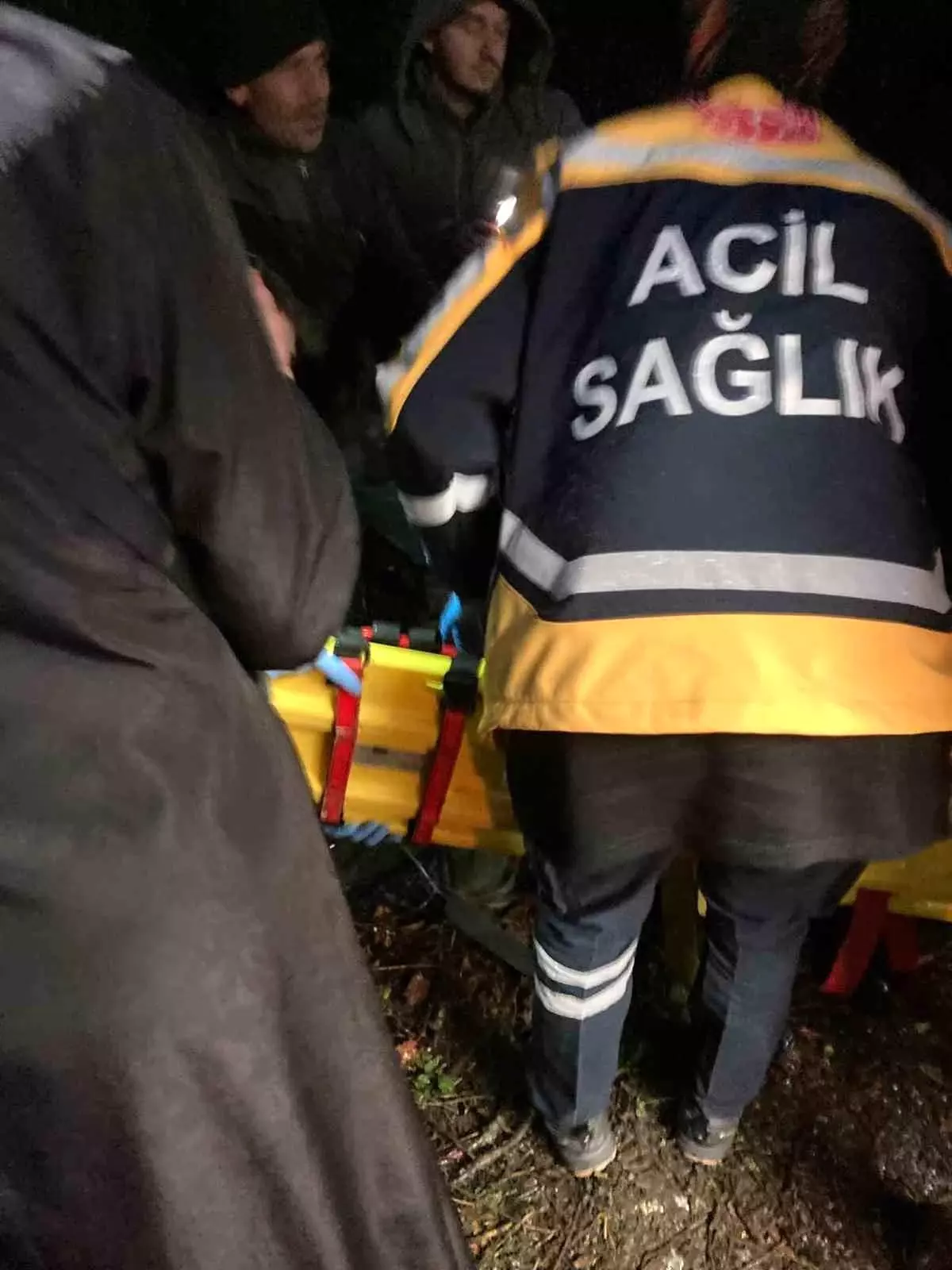 Alaplı'da pat pat kazası: 2 yaralı