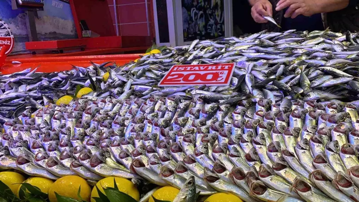 Bolu'da fırtına balık tezgahlarını vurdu