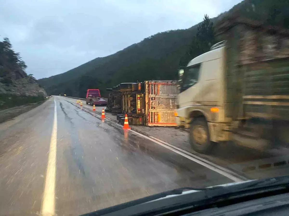 Bolu'da odun yüklü tır devrildi